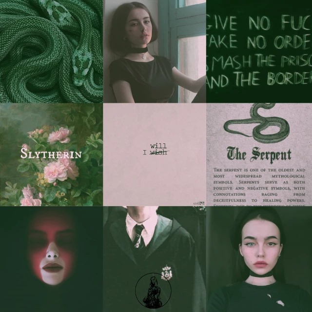 Salazar Slytherin's slithering serpent stalks students - The